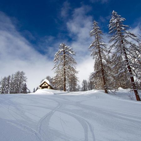 Casa Di Vacanza Giovanibosco Dış mekan fotoğraf