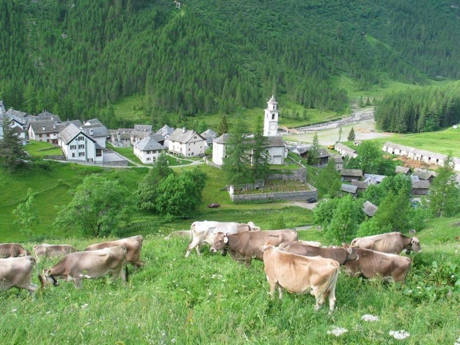 Casa Di Vacanza Giovanibosco Dış mekan fotoğraf